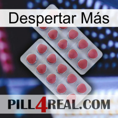 Despertar Más 19